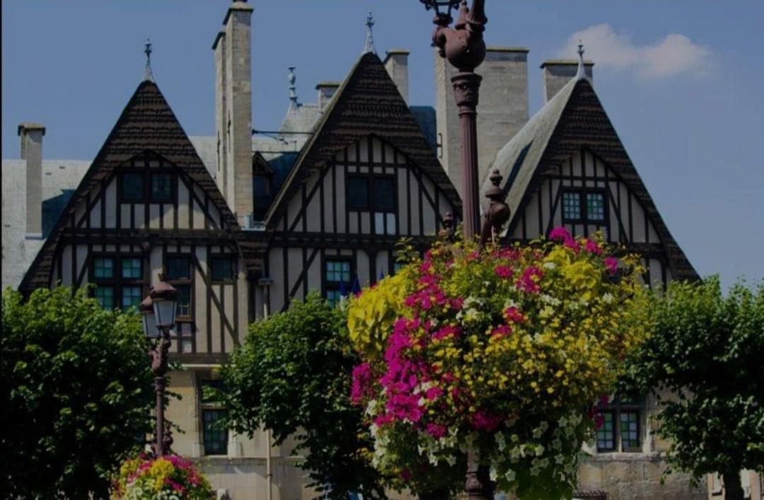 La Place Des Sacres, Proche Gare Et Centre Reims Exterior foto
